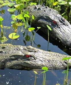 Streich – ferngesteuerter Alligator