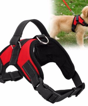 Adjustable Pet Harness