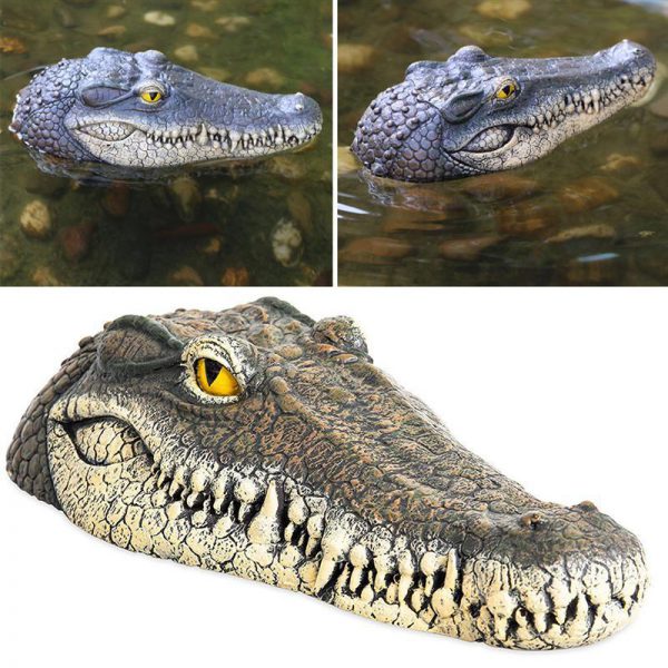 Streich – ferngesteuerter Alligator