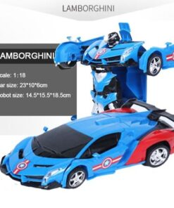 Remote Control Transformation Car Model