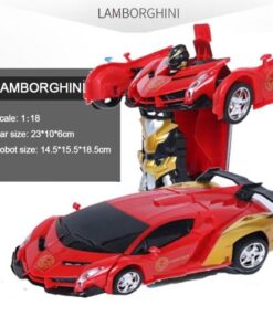 Remote Control Transformation Car Model