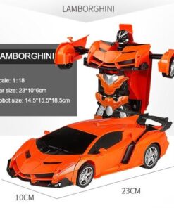 Remote Control Transformation Car Model
