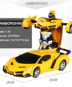 Remote Control Transformation Car Model