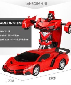 Remote Control Transformation Car Model