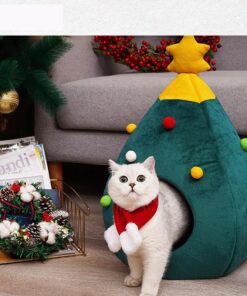 Sarang Kucing Natal