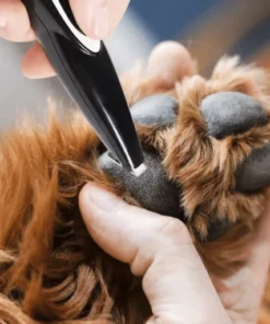 Low Noise Electric Pet Local Trimmer