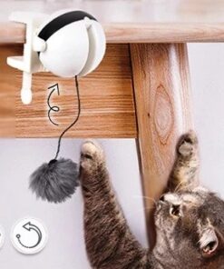 AutoBall Lifting Cat Toy