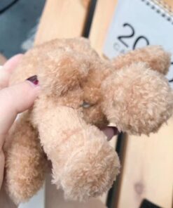 Cartoon Teddy Bear Airpod Case Cover