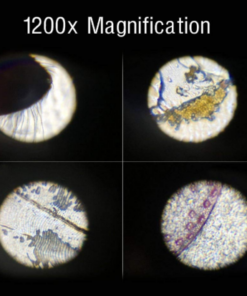 Young Scientist’s 1200X Mini Microscope