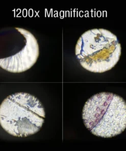 Young Scientist’s 1200X Mini Microscope