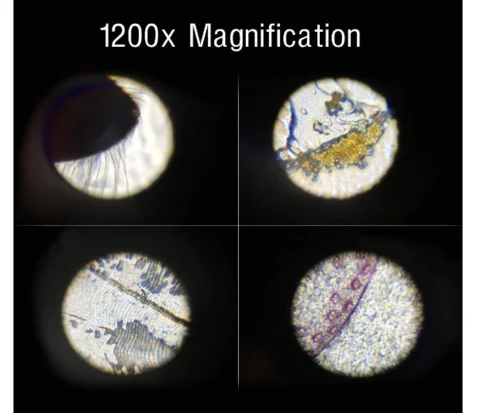 Young Scientist’s 1200X Mini Microscope