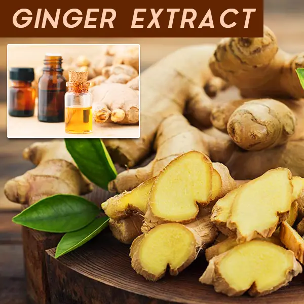 Lymphatic Drainage Ginger Massage Oil - Image 4