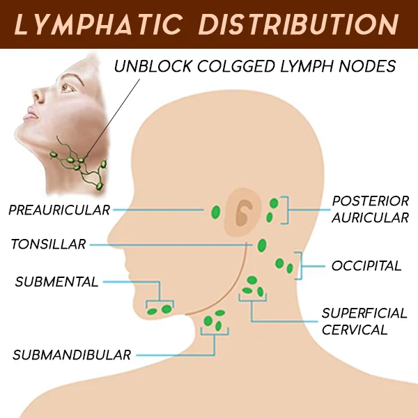 Lymphatic Drainage Ginger Massage Oil - Image 2