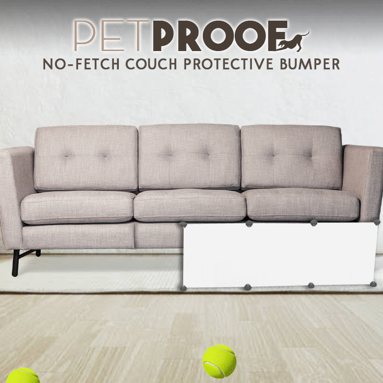 pet proof couch