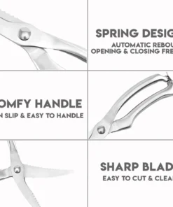 All In One Stainless Kitchen Scissors