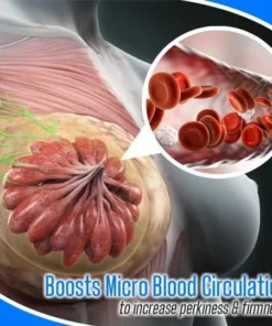 Perky Breast Plumping Essential Oil