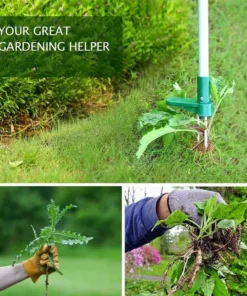 Standing Plant Root Remover