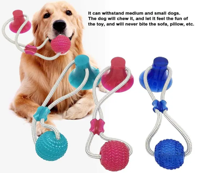 Last Day Promotion- Flexible Dog Molar Bite Toy