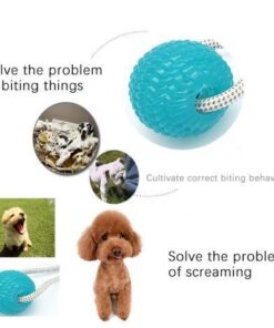 Last Day Promotion- Flexible Dog Molar Bite Toy