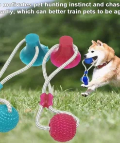 Last Day Promotion- Flexible Dog Molar Bite Toy