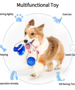 Last Day Promotion- Flexible Dog Molar Bite Toy