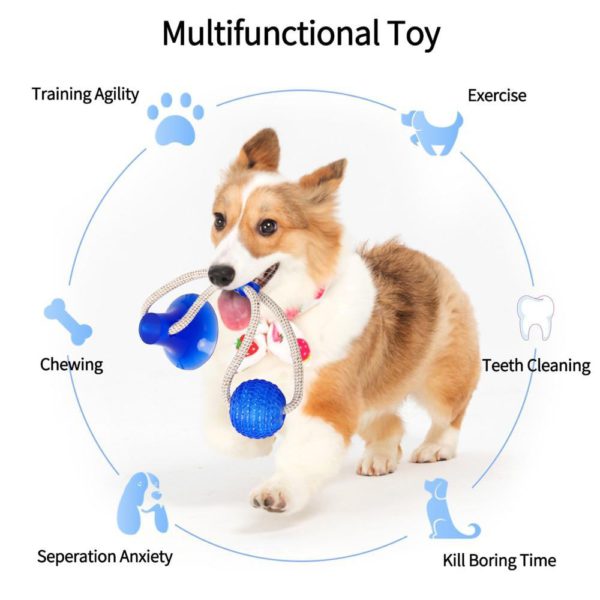 Last Day Promotion- Flexible Dog Molar Bite Toy