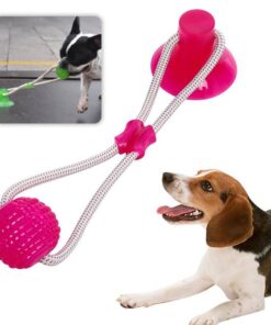 Last Day Promotion- Flexible Dog Molar Bite Toy