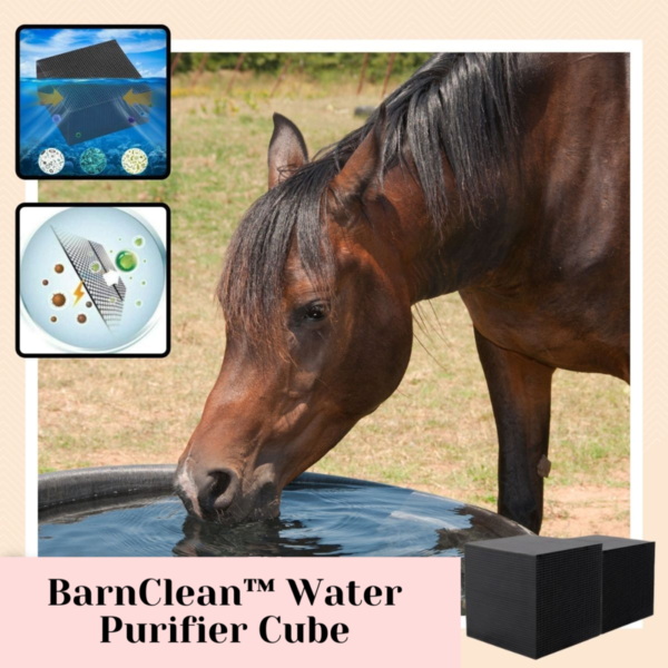 [პრომო 30% ფასდაკლება] BarnClean™ წყლის გამწმენდის კუბი