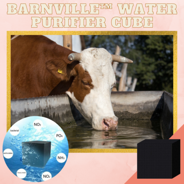 [PROMO 30 % DE RÉDUCTION] Cube purificateur d'eau BarnClean™