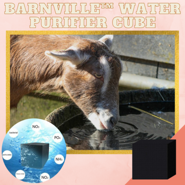 [PROMO 30% PUNGUZO] BarnClean™ Water Purifier Cube