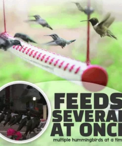 Hummrod Hummingbird Feeder