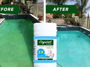 Pool Sanitizing Tablet (100 tablets)