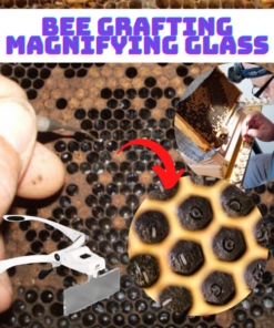 [PROMO 30% OFF] Bee Grafting Magnifying Glass