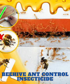[PROMO 30% OFF] Beehive Ant Control Insecticide