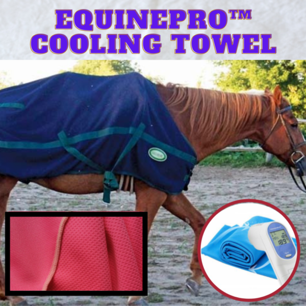 [СКИДКА 30% по акции] Охлаждающее полотенце EquinePro™