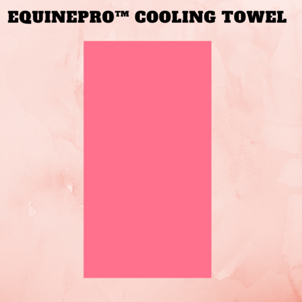 [AKCIJA 30 % NUOLAIDA] EquinePro™ vėsinamasis rankšluostis