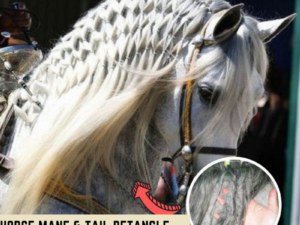 [PROMO 30% OFF] Horse Mane & Tail Detangle Treatment