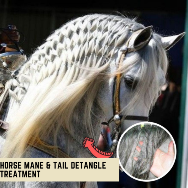 [PROMO 30% OFF] Horse Mane & Tail Detangle Treatment