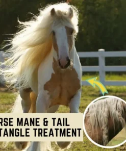 [PROMO 30% OFF] Horse Mane & Tail Detangle Treatment