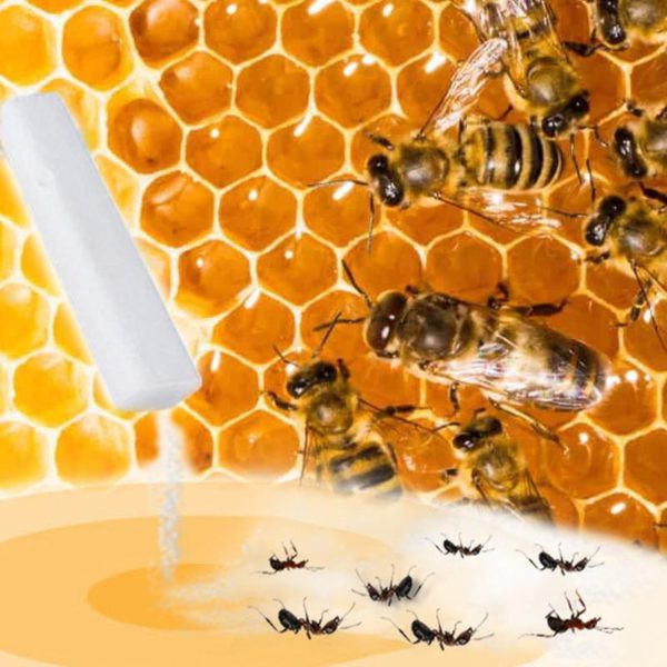 [PROMO 30% OFF] Beehive Ant Control Insecticide