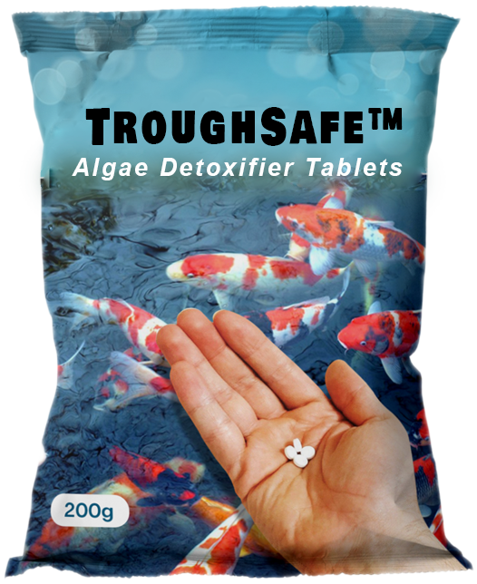 [PROMO 30% OFF] TroughSafe™ Algae Detoxifier Tablets