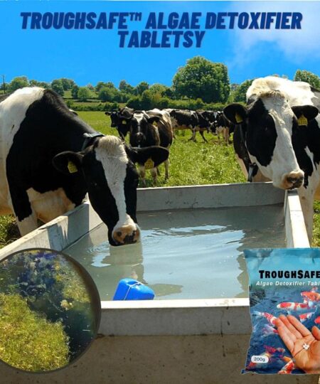 [PROMO 30% OFF] TroughSafe™ Algae Detoxifier Tablets