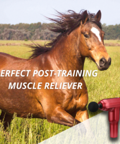 [PROMO 30%] Equine+ Therapy Massager