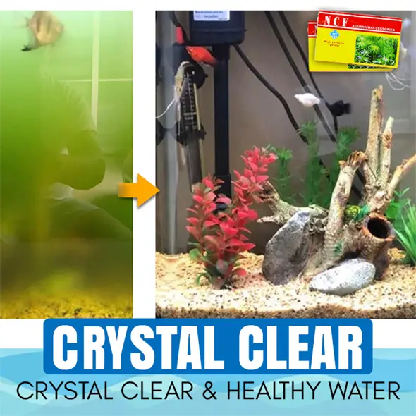 BioClear™ Aquarium Purifying Powder