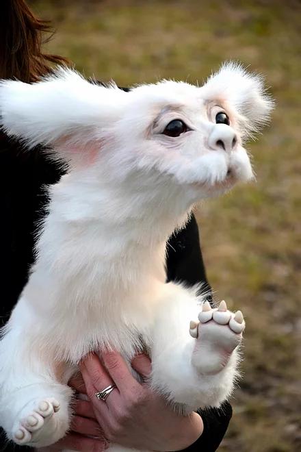 Falkor from The Neverending Story