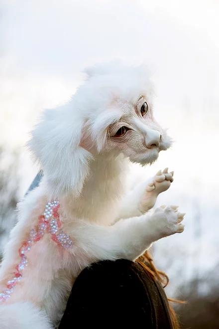 Falkor from The Neverending Story