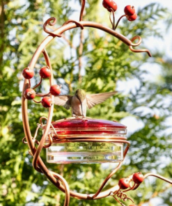 🔥50% OFF TODAY🔥 Red Berries Hummingbird Feeder