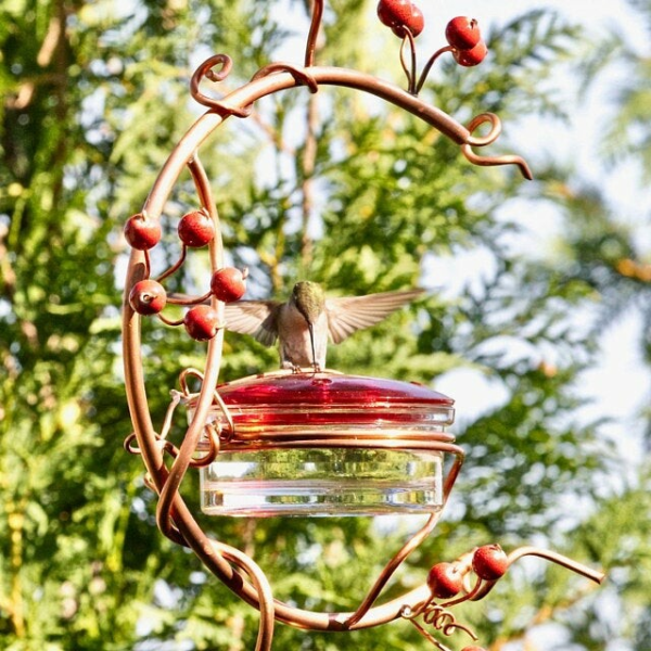 🔥50% අද අඩුයි🔥Red Berries Hummingbird Feeder