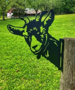 Animal Metal Voyeur Art