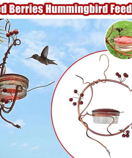 🔥50% ATLAIDE ŠODIEN🔥Red Berries Hummingbird Feeder